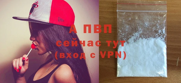 спиды Козловка