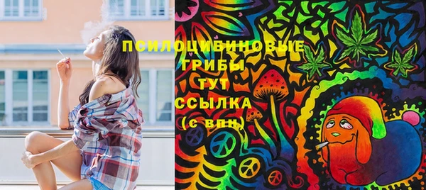 спиды Козловка