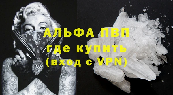спиды Козловка